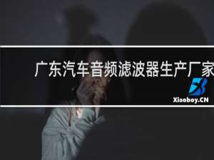 广东汽车音频滤波器生产厂家