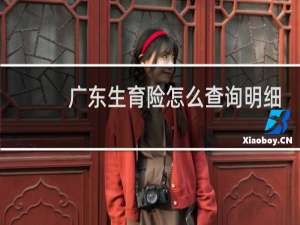 广东生育险怎么查询明细