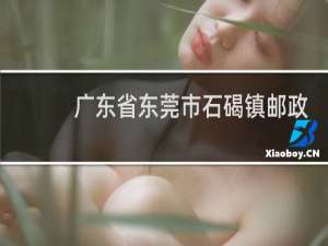 广东省东莞市石碣镇邮政编码是多少