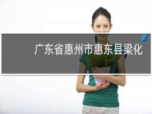 广东省惠州市惠东县梁化镇邮政编码是多少
