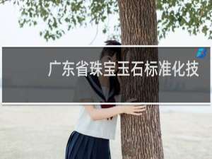 广东省珠宝玉石标准化技术委员会
