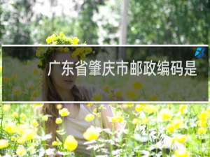广东省肇庆市邮政编码是多少