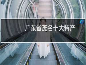 广东省茂名十大特产（广东省茂名十大特产）