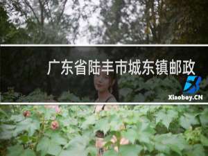 广东省陆丰市城东镇邮政编码是多少