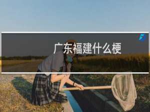 广东福建什么梗
