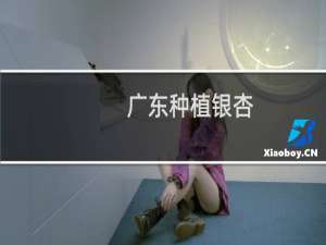 广东种植银杏