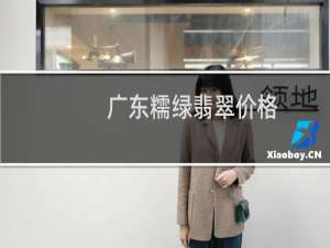 广东糯绿翡翠价格