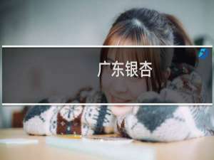广东银杏