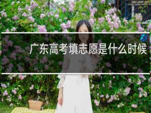 广东高考填志愿是什么时候