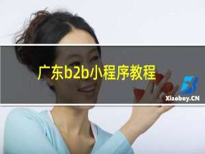广东b2b小程序教程
