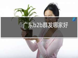 广东b2b群发哪家好