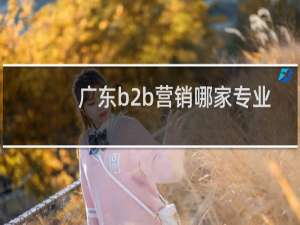 广东b2b营销哪家专业