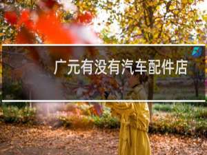 广元有没有汽车配件店