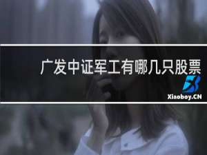 广发中证军工有哪几只股票