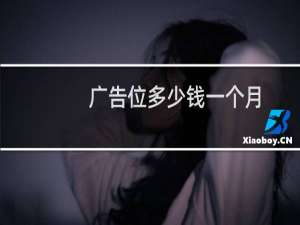 广告位多少钱一个月