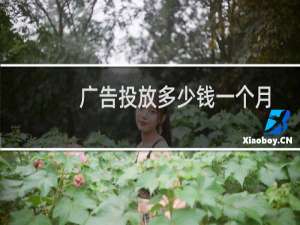 广告投放多少钱一个月