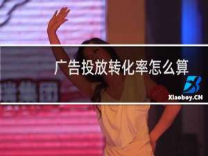 广告投放转化率怎么算