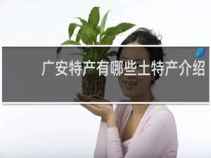 广安特产有哪些土特产介绍