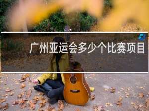 广州亚运会多少个比赛项目