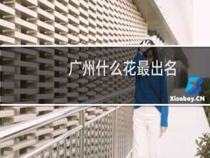 广州什么花最出名