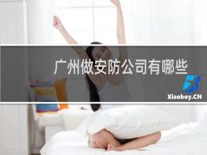 广州做安防公司有哪些