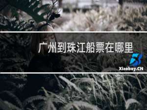 广州到珠江船票在哪里