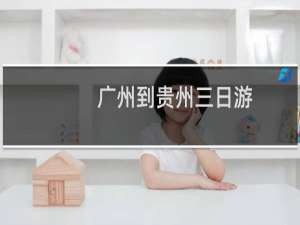 广州到贵州三日游