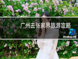 广州去张家界旅游攻略