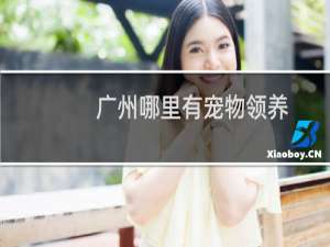 广州哪里有宠物领养