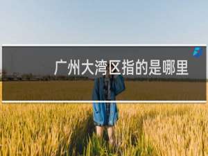广州大湾区指的是哪里