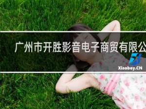 广州市开胜影音电子商贸有限公司
