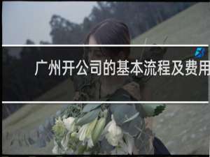 广州开公司的基本流程及费用