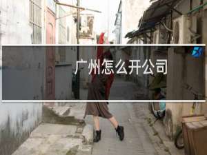 广州怎么开公司