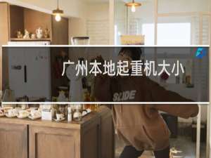 广州本地起重机大小