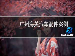 广州海关汽车配件案例