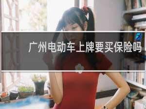 广州电动车上牌要买保险吗