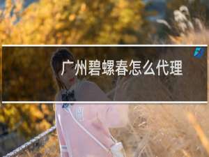 广州碧螺春怎么代理