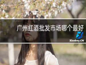 广州红酒批发市场哪个最好