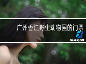 广州香江野生动物园的门票