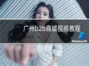 广州b2b商城视频教程