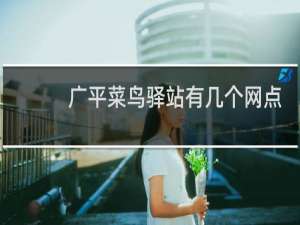 广平菜鸟驿站有几个网点