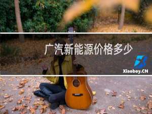 广汽新能源价格多少