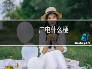 广电什么梗