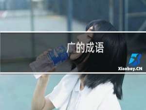 广的成语