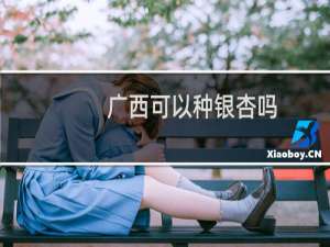广西可以种银杏吗