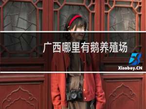 广西哪里有鹅养殖场