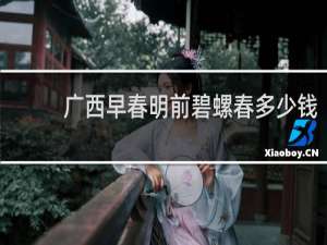 广西早春明前碧螺春多少钱