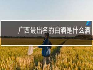 广西最出名的白酒是什么酒