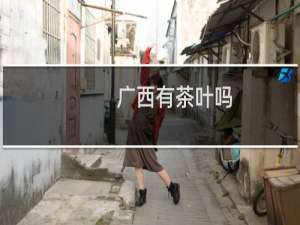 广西有茶叶吗