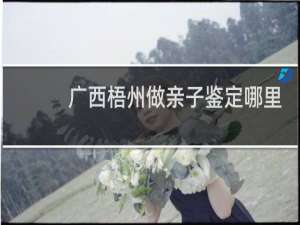 广西梧州做亲子鉴定哪里做